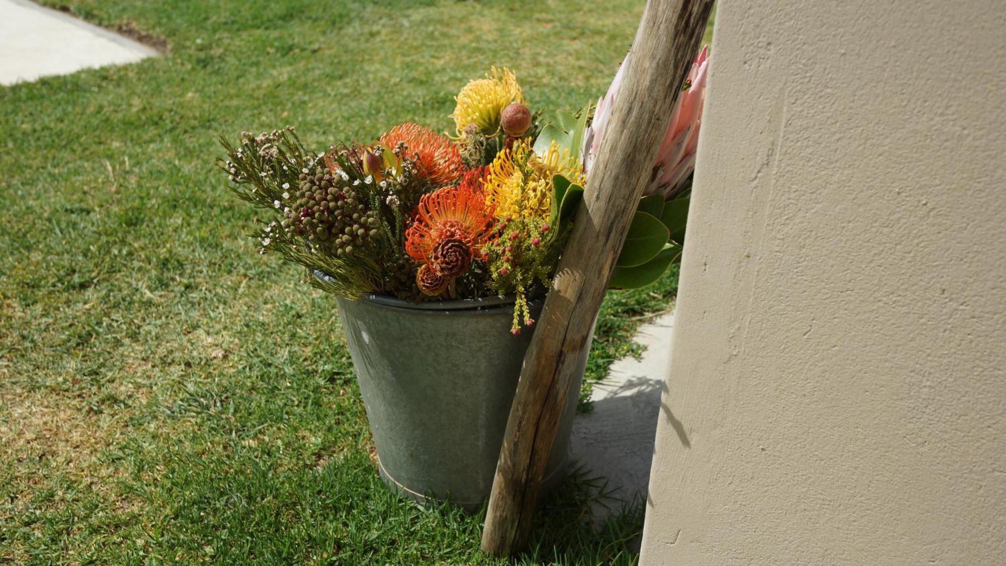Stellar Overberg Travellers Lodge Napier Bagian luar foto