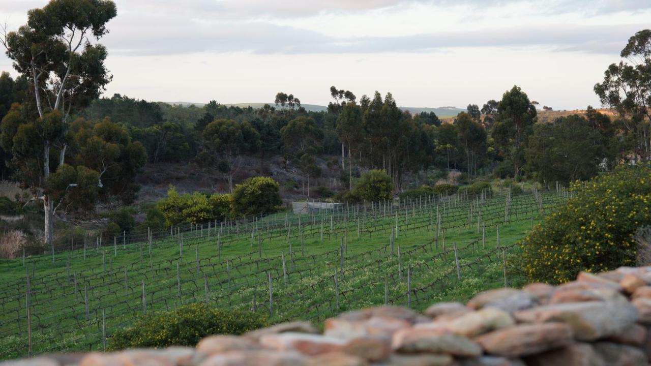 Stellar Overberg Travellers Lodge Napier Bagian luar foto
